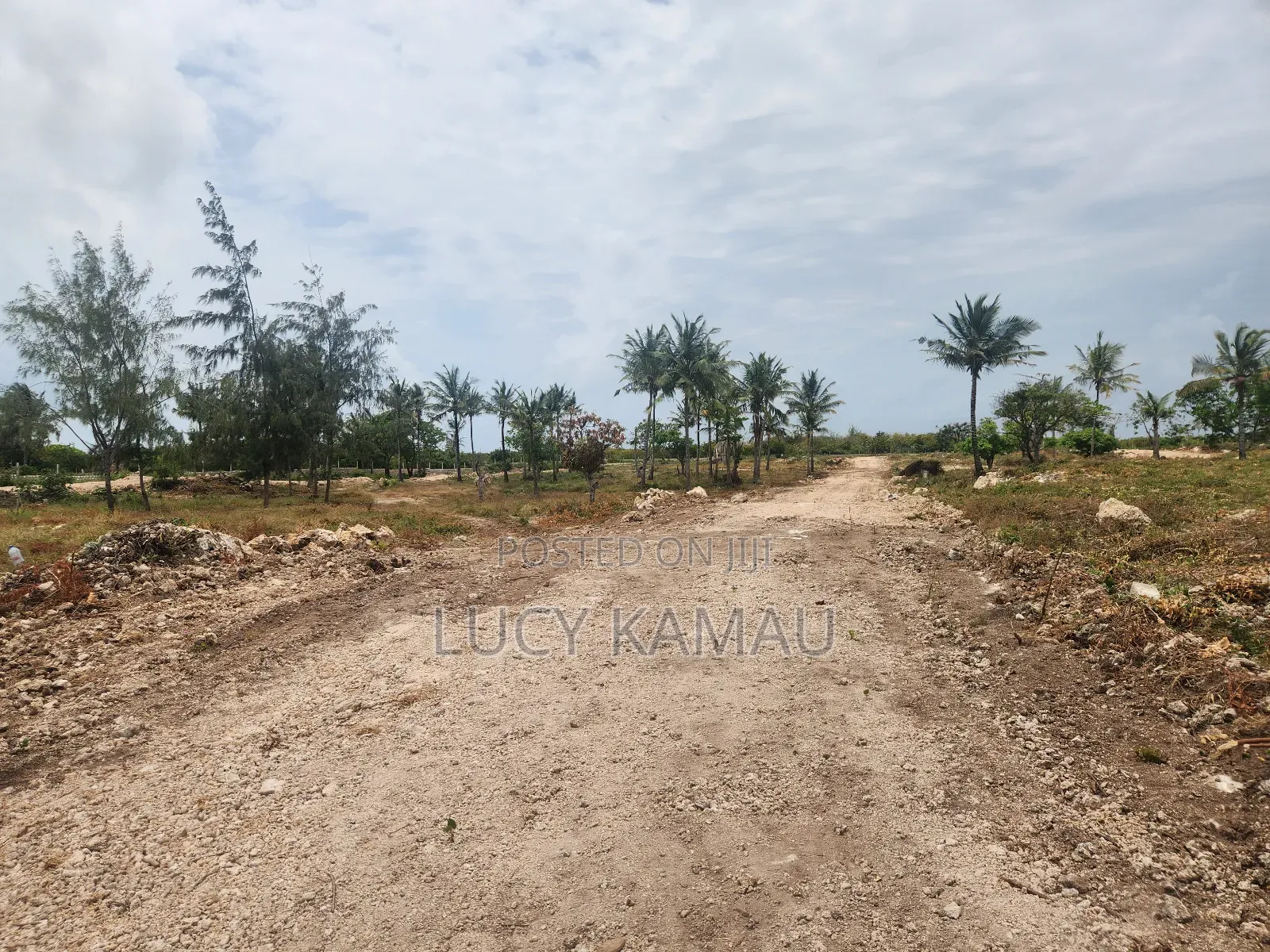 Prime 1⁄8th Acre 3rd Row Beach Plots in Watamu in Watamu