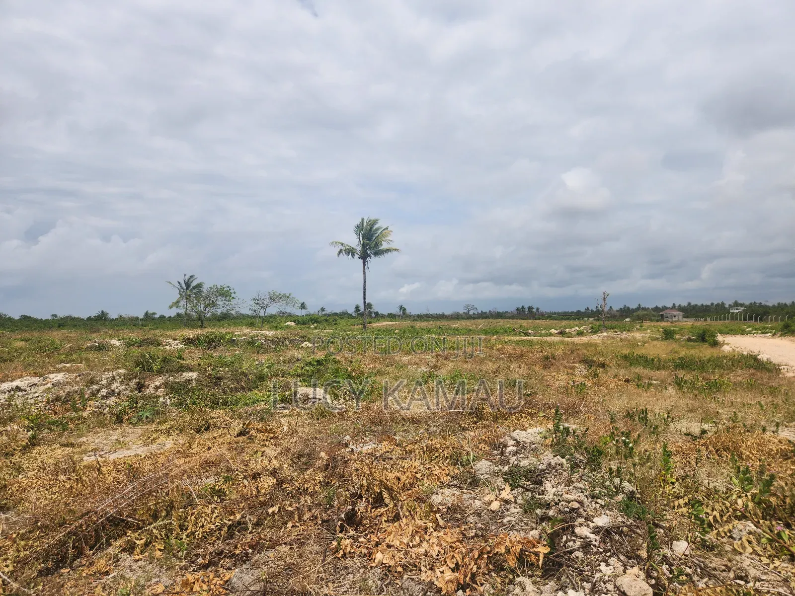 Prime 1⁄8th Acre 3rd Row Beach Plots in Watamu in Watamu