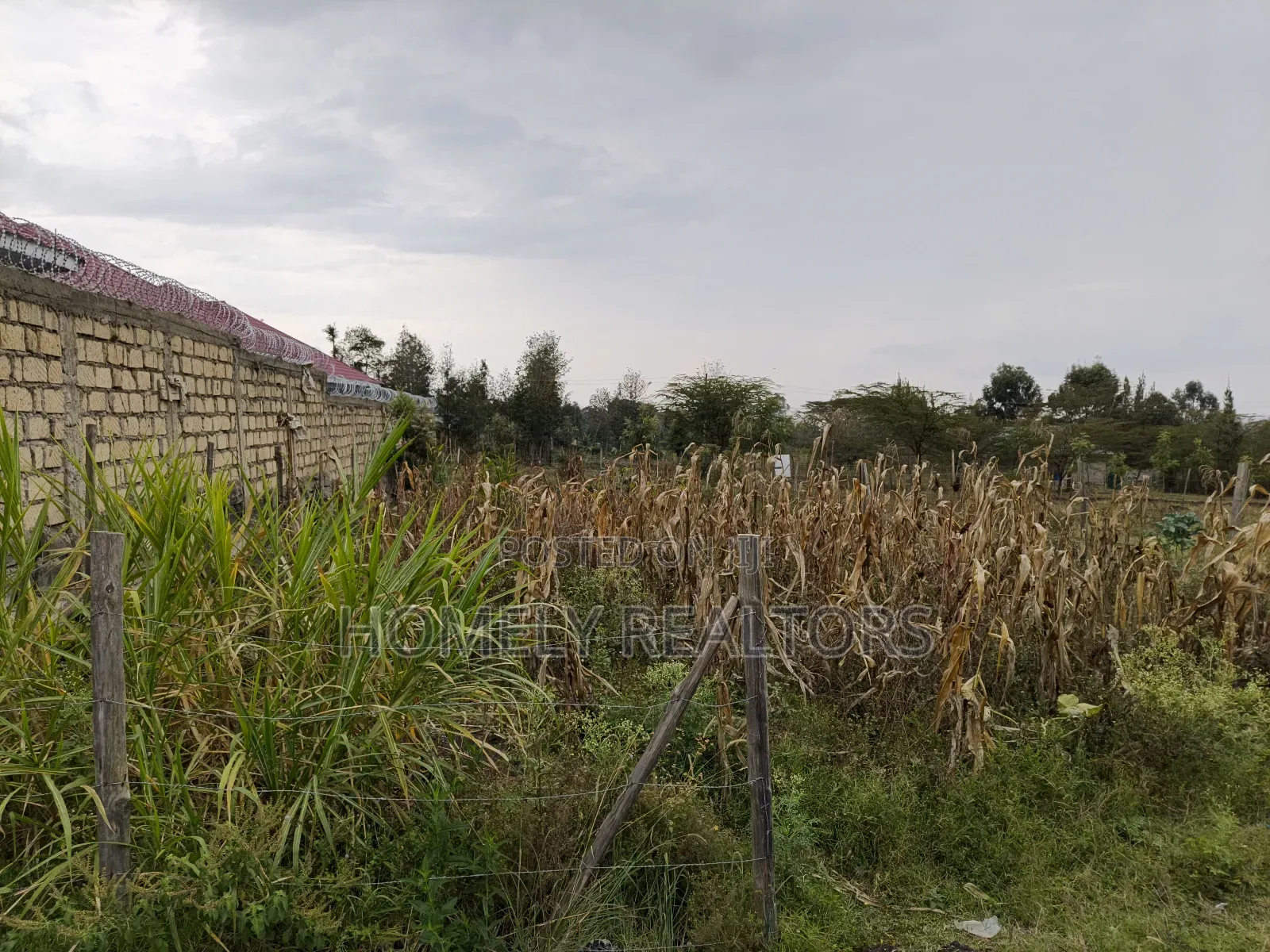 Eighth Acre Plot on Sale in Ngong, Matasia 100 Meters From Tarmac in Merisho