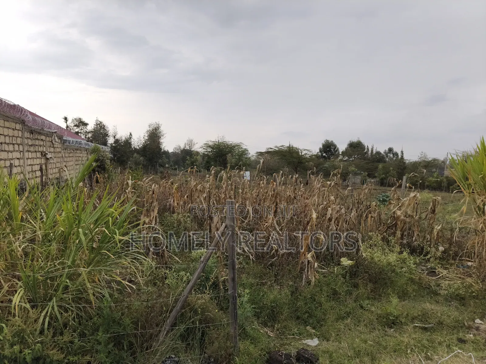 Eighth Acre Plot on Sale in Ngong, Matasia 100 Meters From Tarmac in Merisho