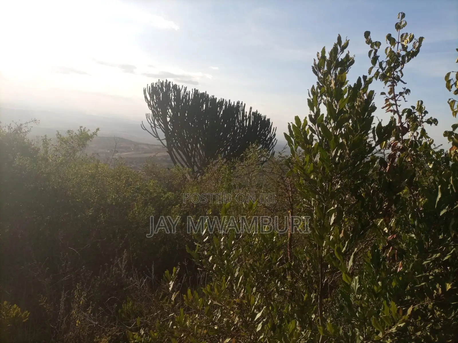1 1/2 Acre Land Mua Hills in Mua Hills