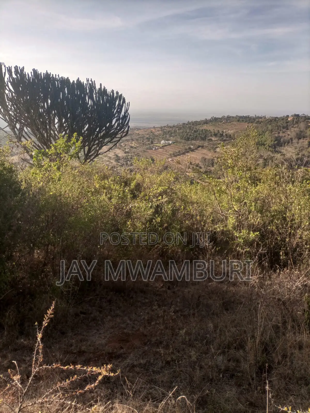 1 1/2 Acre Land Mua Hills in Mua Hills
