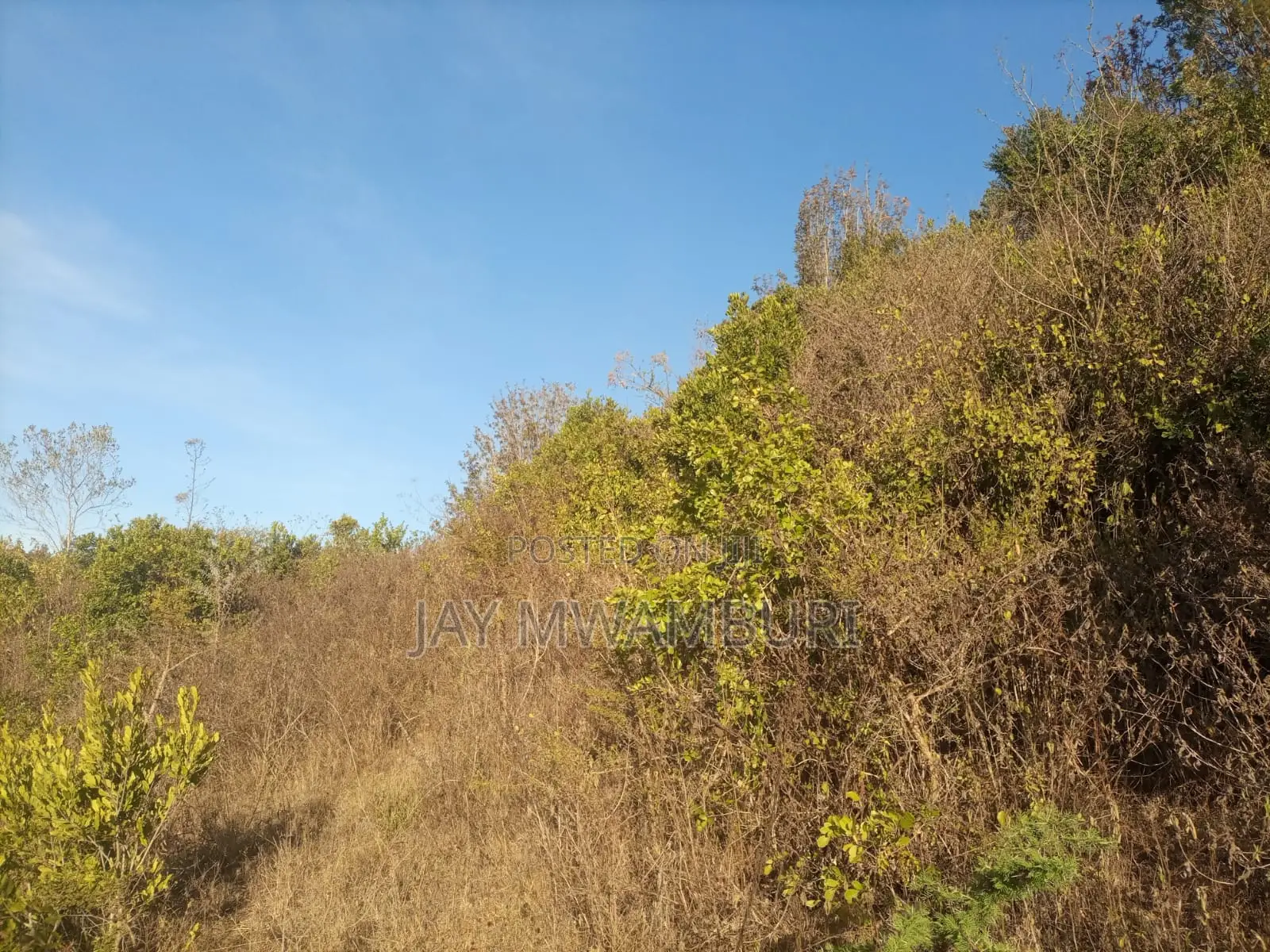 1 1/2 Acre Land Mua Hills in Mua Hills
