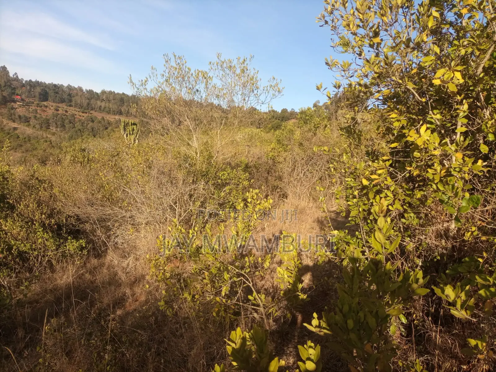 1 1/2 Acre Land Mua Hills in Mua Hills