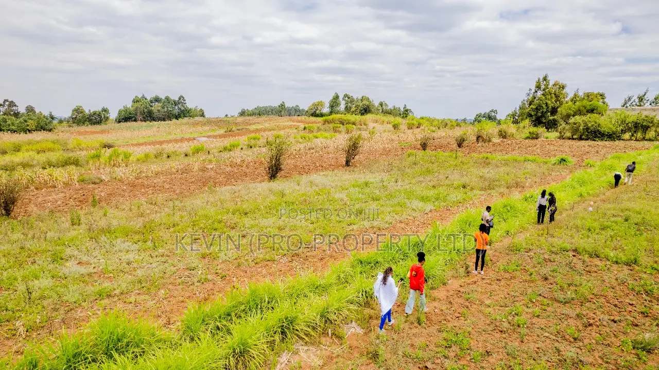 Prime Residential Plots for Sale in Kikuyu, Kamangu in Kikuyu