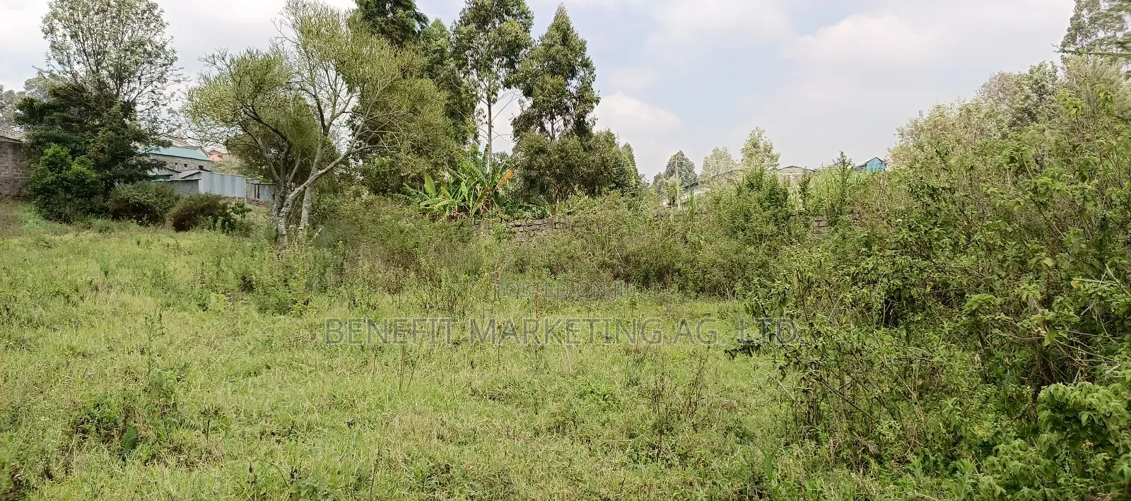 Half Acre+ 1⁄8 Acre Plot for Sale in Ngong. in Ngong