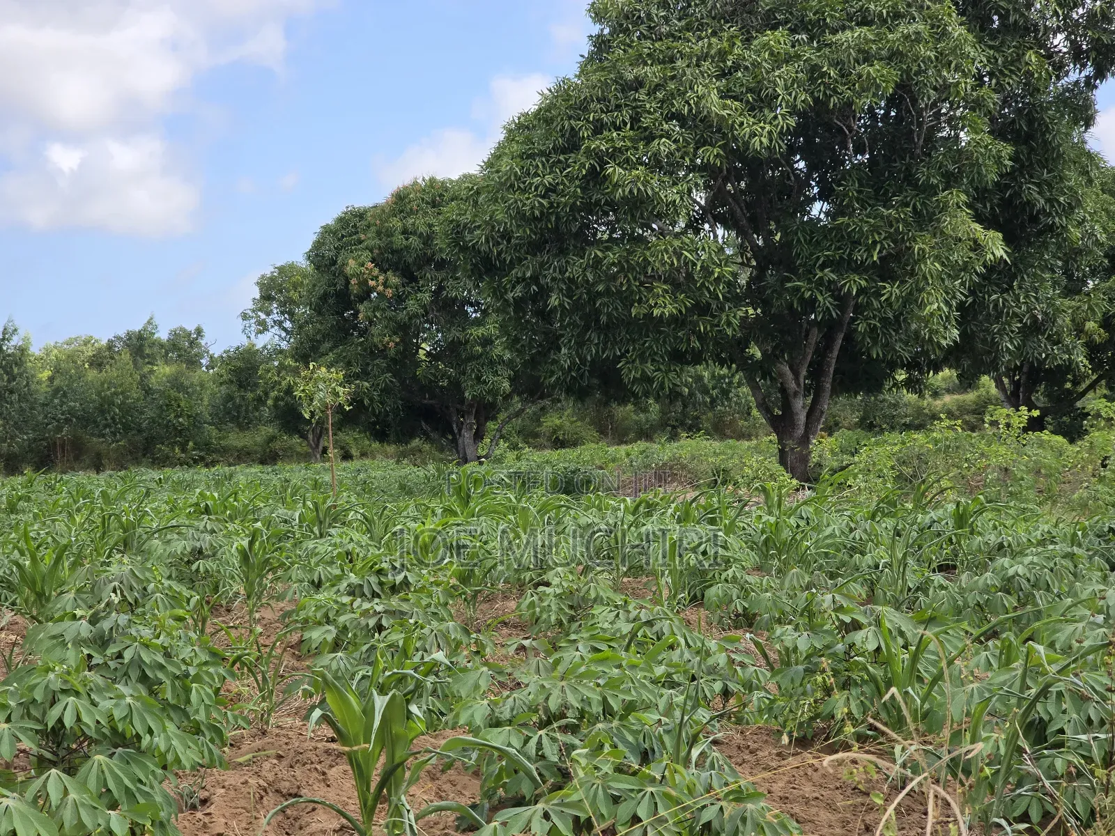 Malindi Affordable Acres for Farming in Malindi