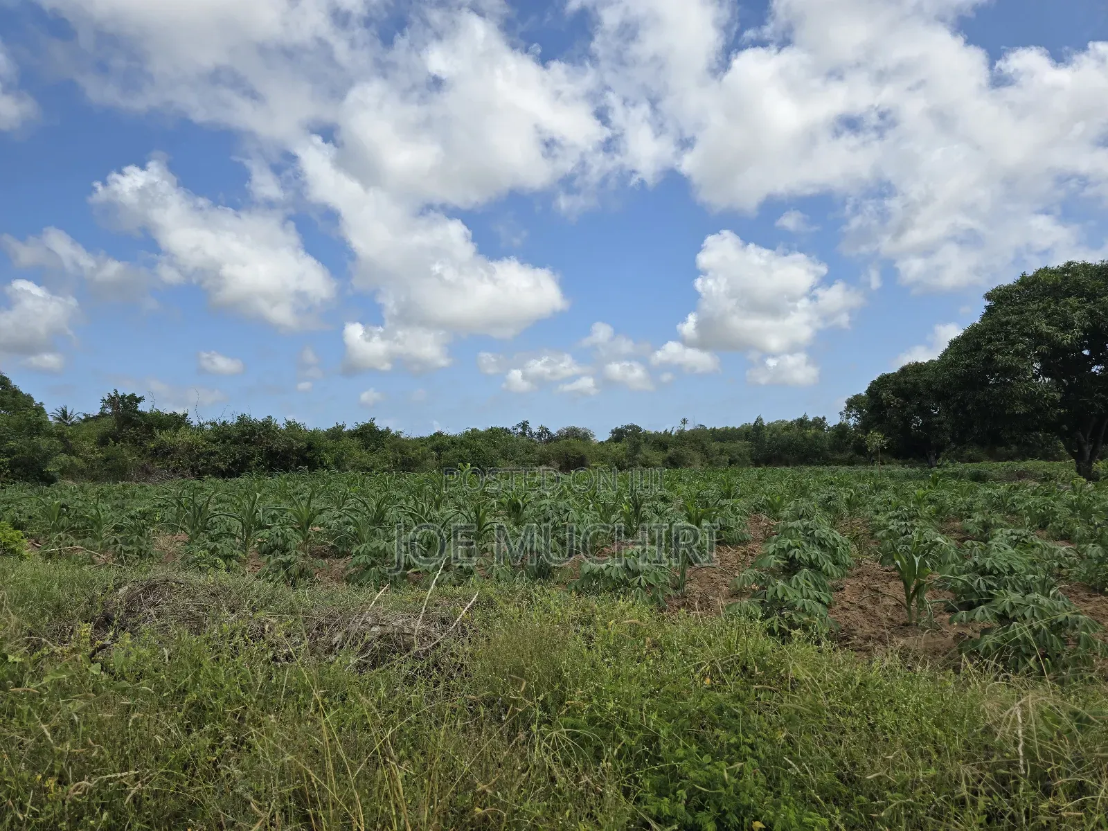 Malindi Affordable Acres for Farming in Malindi