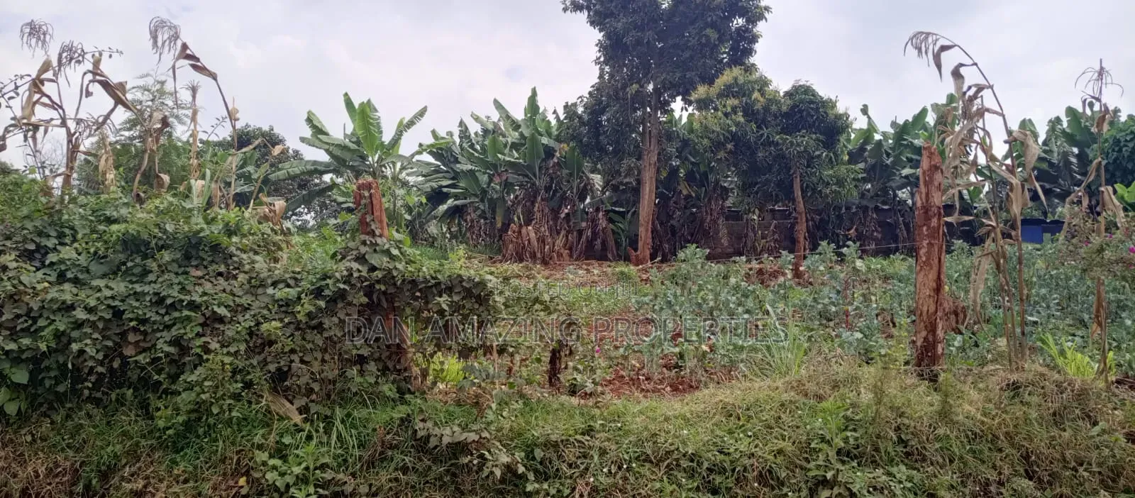 1.2 Acres in Lower Kabete for Sale Ideal for Residential Apartments in Lower Kabete