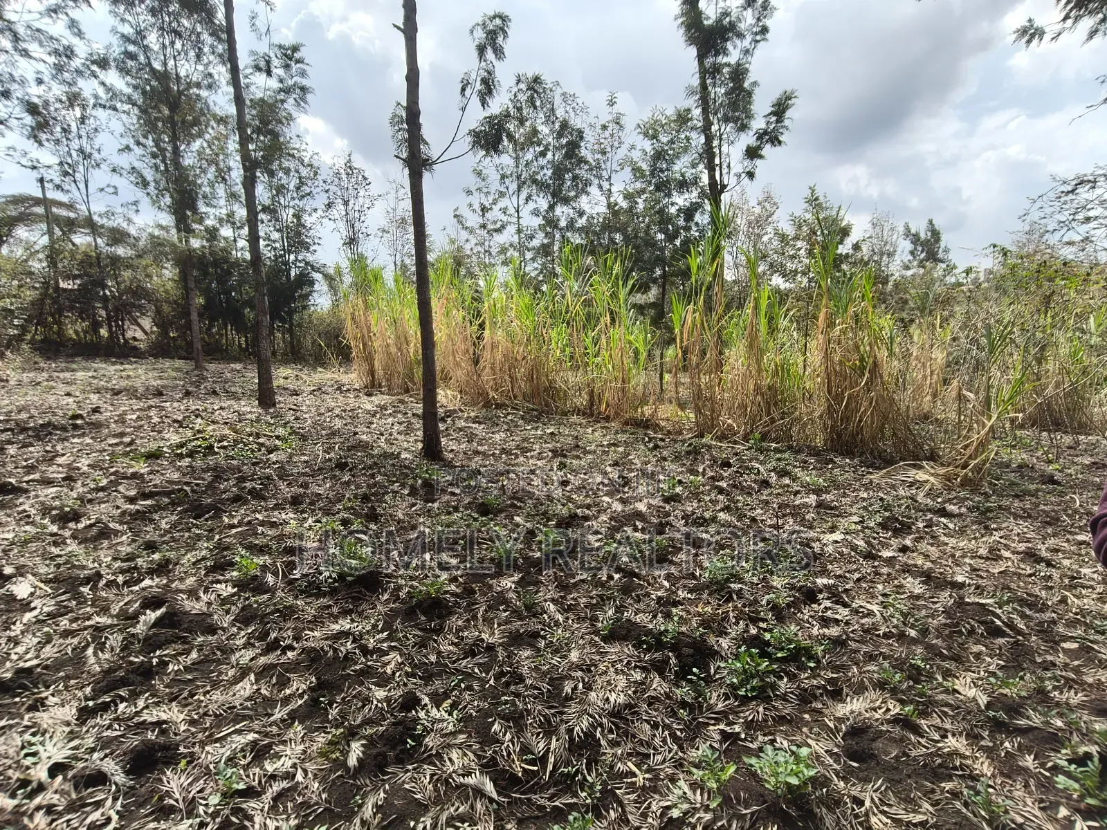 Quarter Acre Plot for Sale in Ngong, Matasia Merisho Naer Tarmac in Ngong