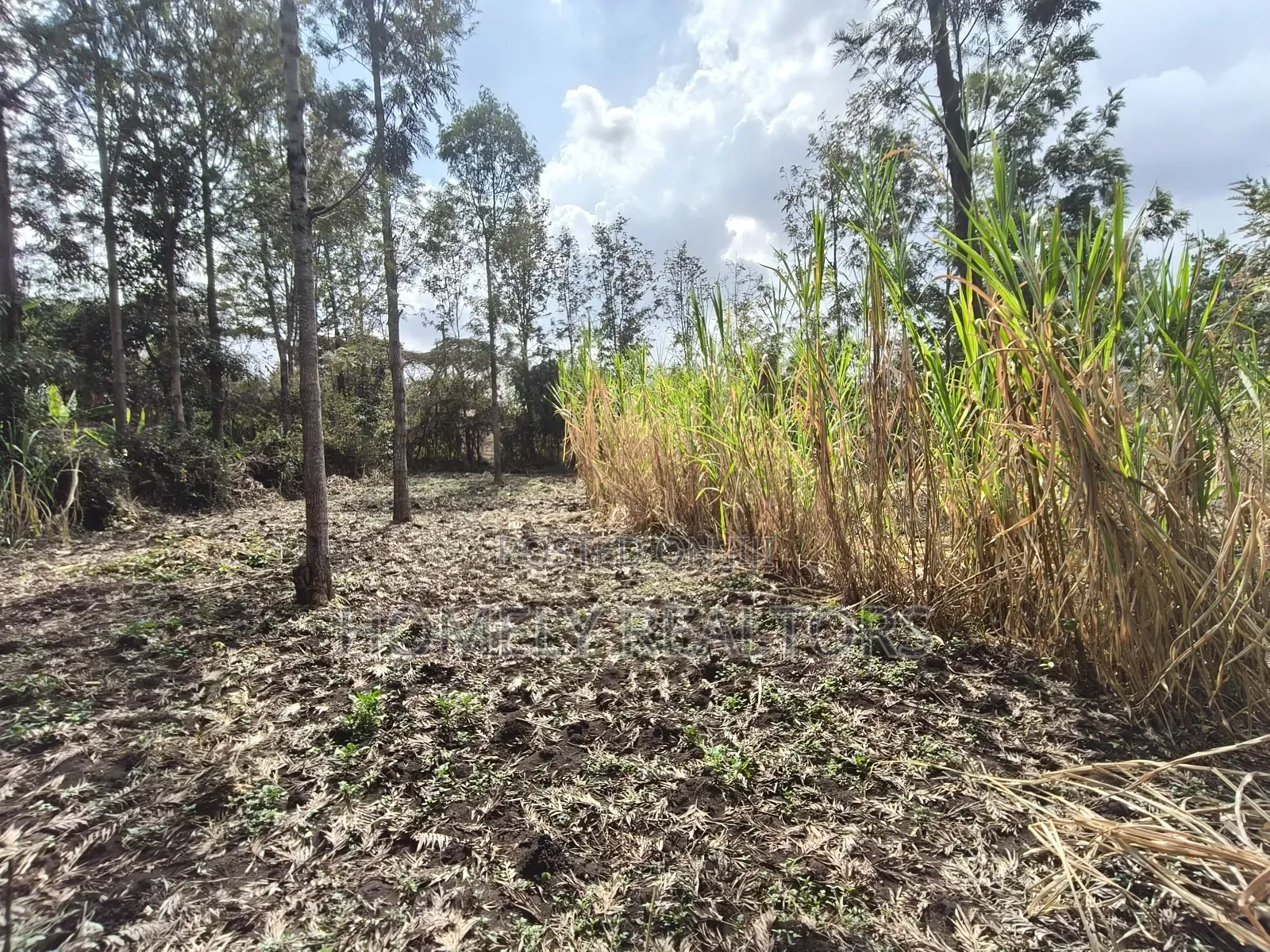 Quarter Acre Plot for Sale in Ngong, Matasia Merisho Naer Tarmac in Ngong
