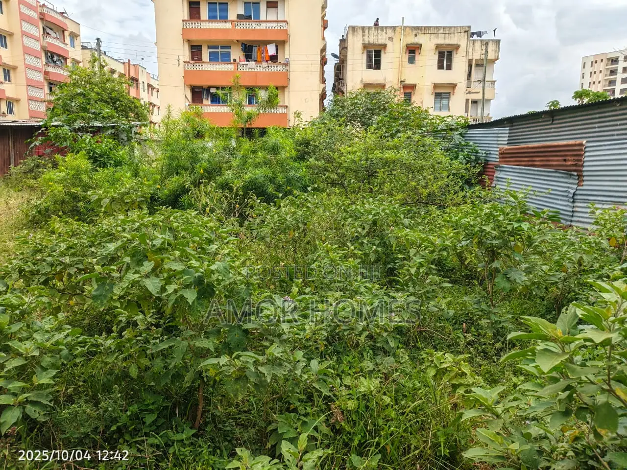 Plot4 Sale in Mshomoroni