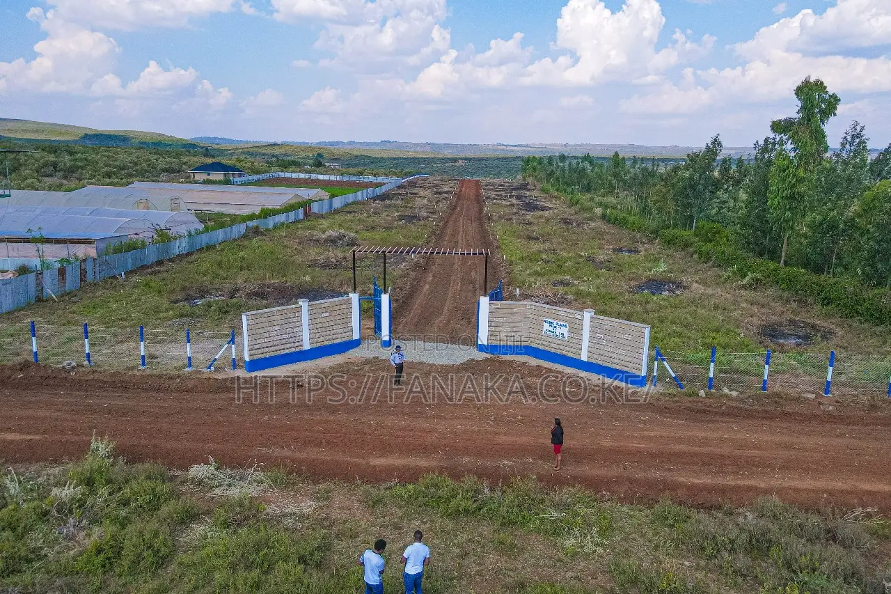 Ngong-Iyarat Plots^Mw in Kibiku