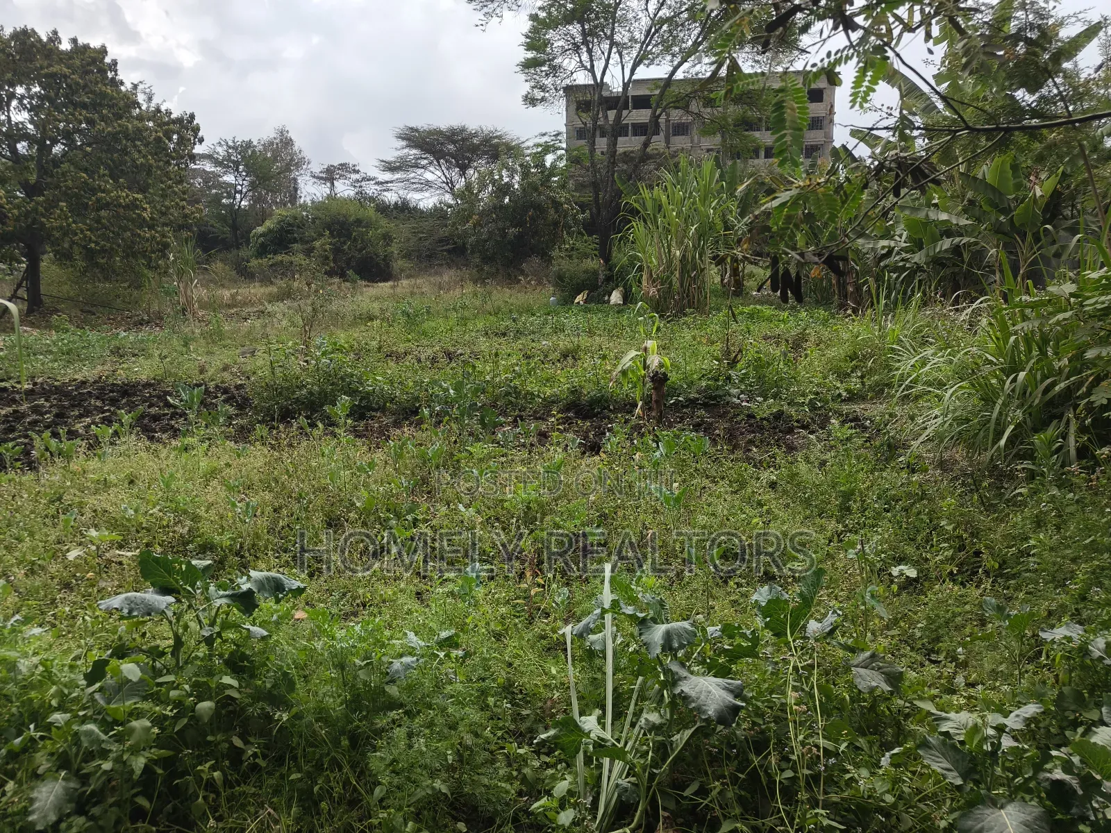 2 Acre Piece of Land on Sale in Ongata Rongai, Rimpa Touching Tarmac in Rimpa