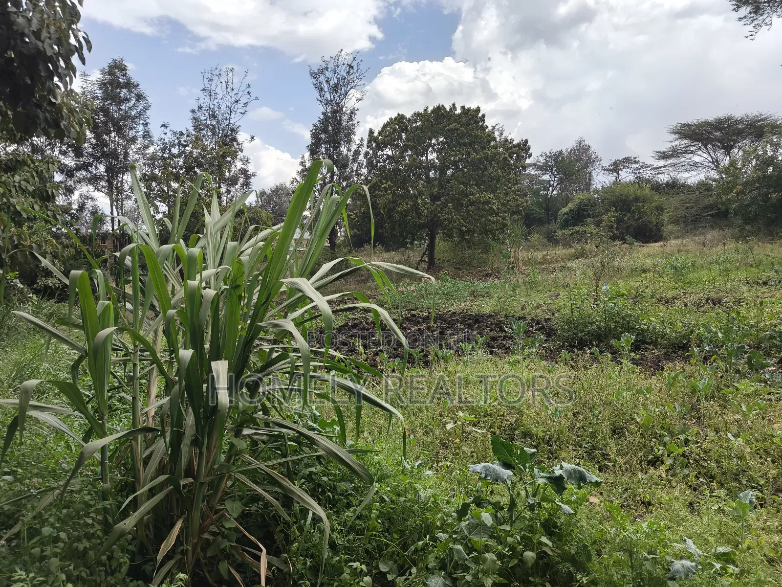 2 Acre Piece of Land on Sale in Ongata Rongai, Rimpa Touching Tarmac in Rimpa