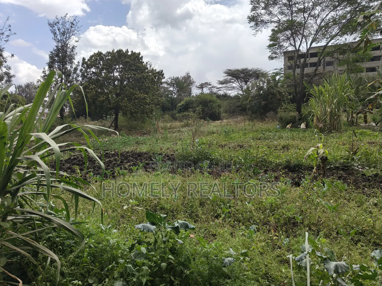 2 Acre Piece of Land on Sale in Ongata Rongai, Rimpa Touching Tarmac in Rimpa