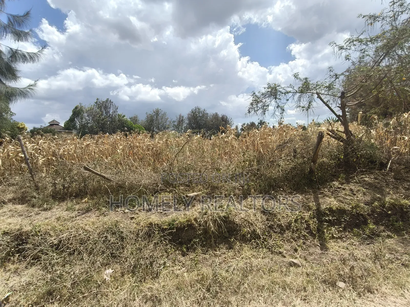 Residential One Acre Piece of Land in Ongata Rongai Near Asyana in Ongata Rongai