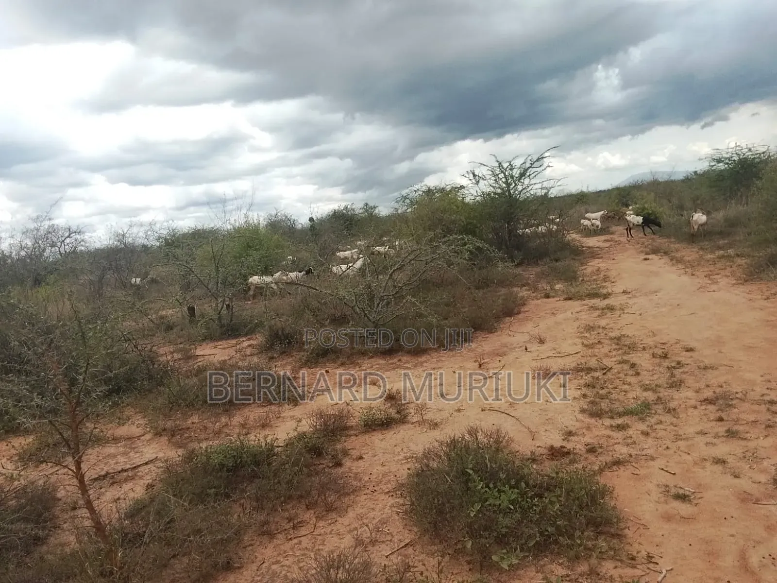 9no 50x100 Plots At Matuu in Matuu