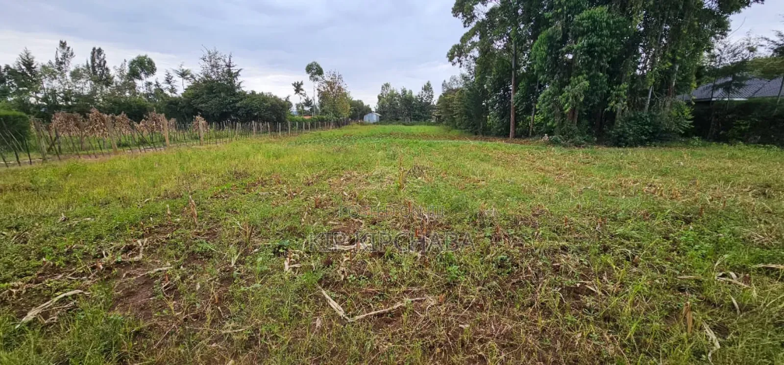 5 Plots for Sale in Kipkenyo Eldoret in Kipkenyo