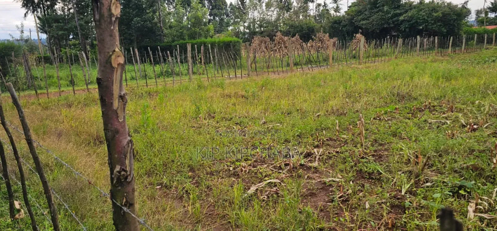 5 Plots for Sale in Kipkenyo Eldoret in Kipkenyo