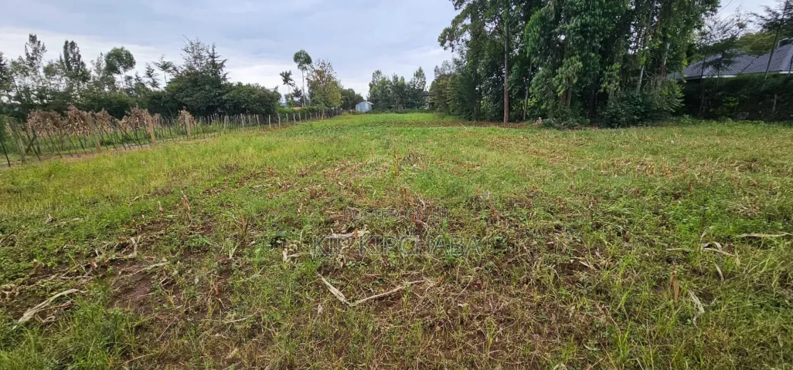 5 Plots for Sale in Kipkenyo Eldoret in Kipkenyo
