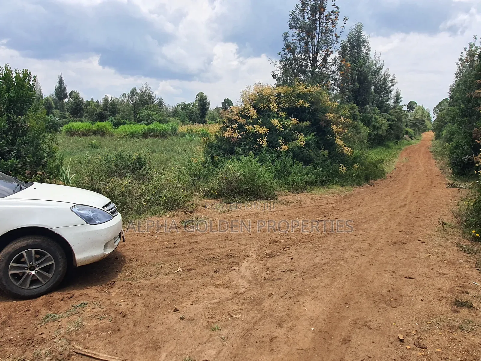 3/4 Acre in Katheri Nanyuki in Nanyuki