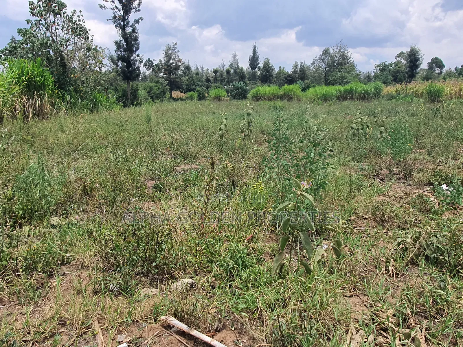 3/4 Acre in Katheri Nanyuki in Nanyuki