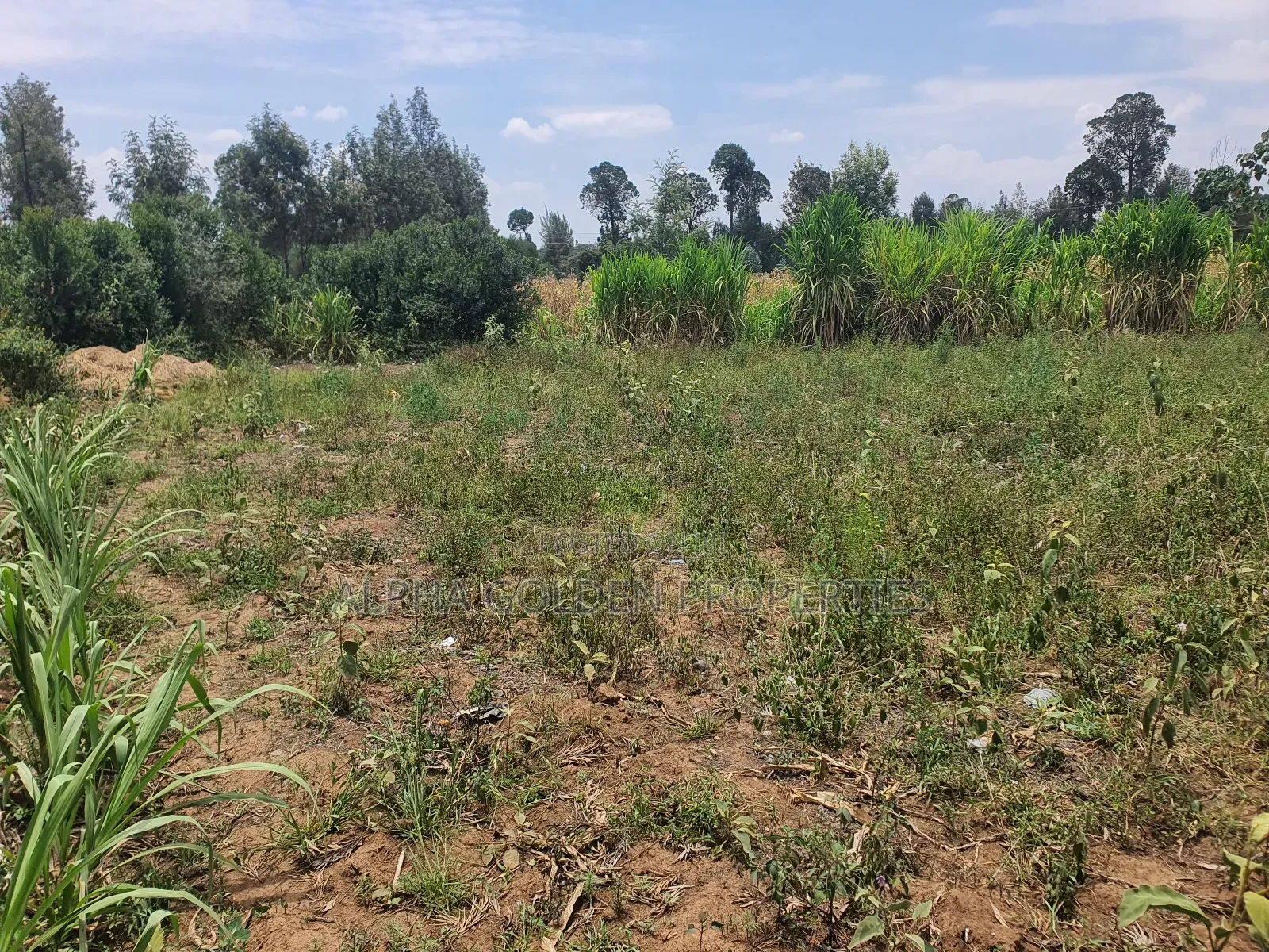 3/4 Acre in Katheri Nanyuki in Nanyuki