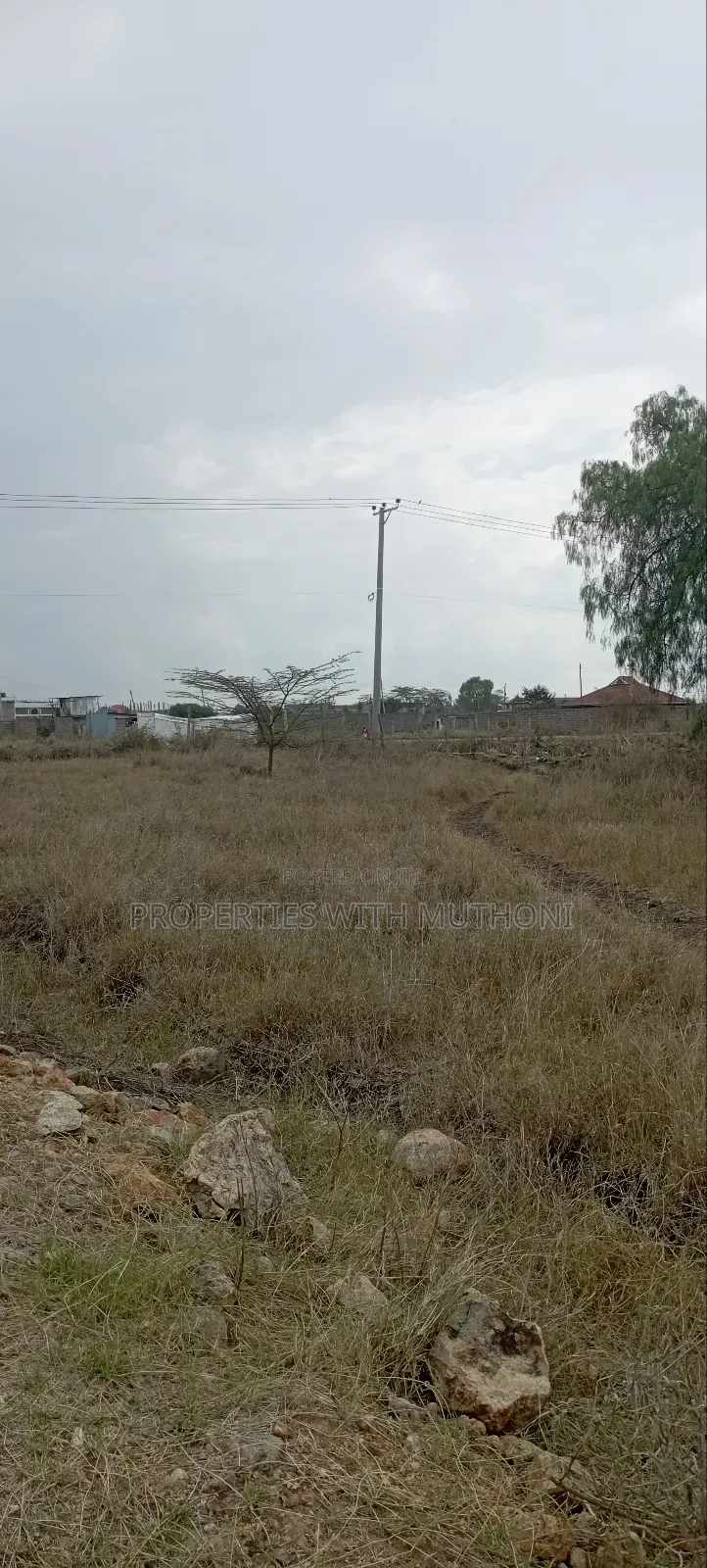 50×100 Plots for Sale in Katani. in Katani
