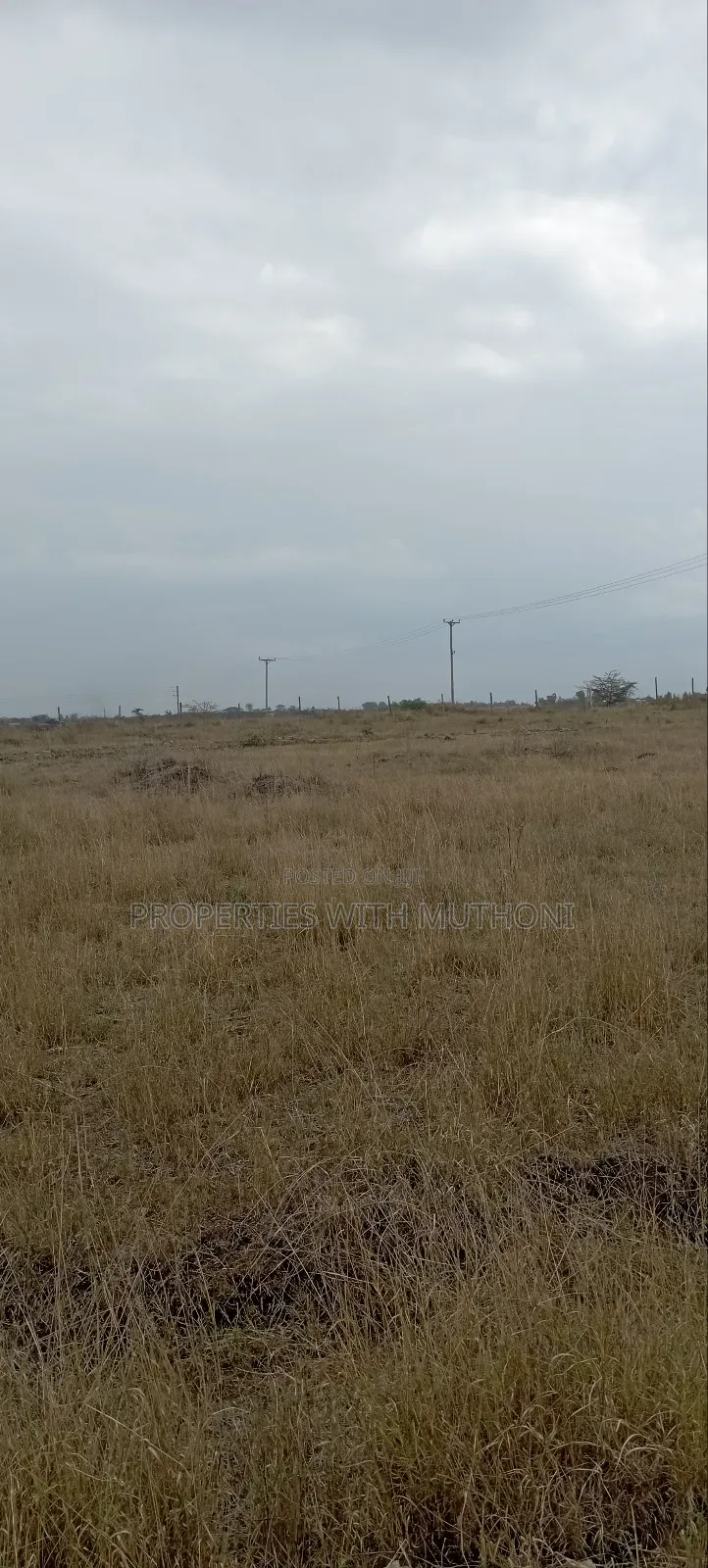 50×100 Plots for Sale in Katani. in Katani