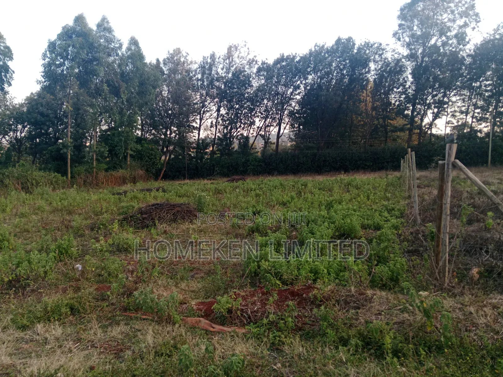 Quarter Acre for Sale in Kibiku, Ngong in Ngong