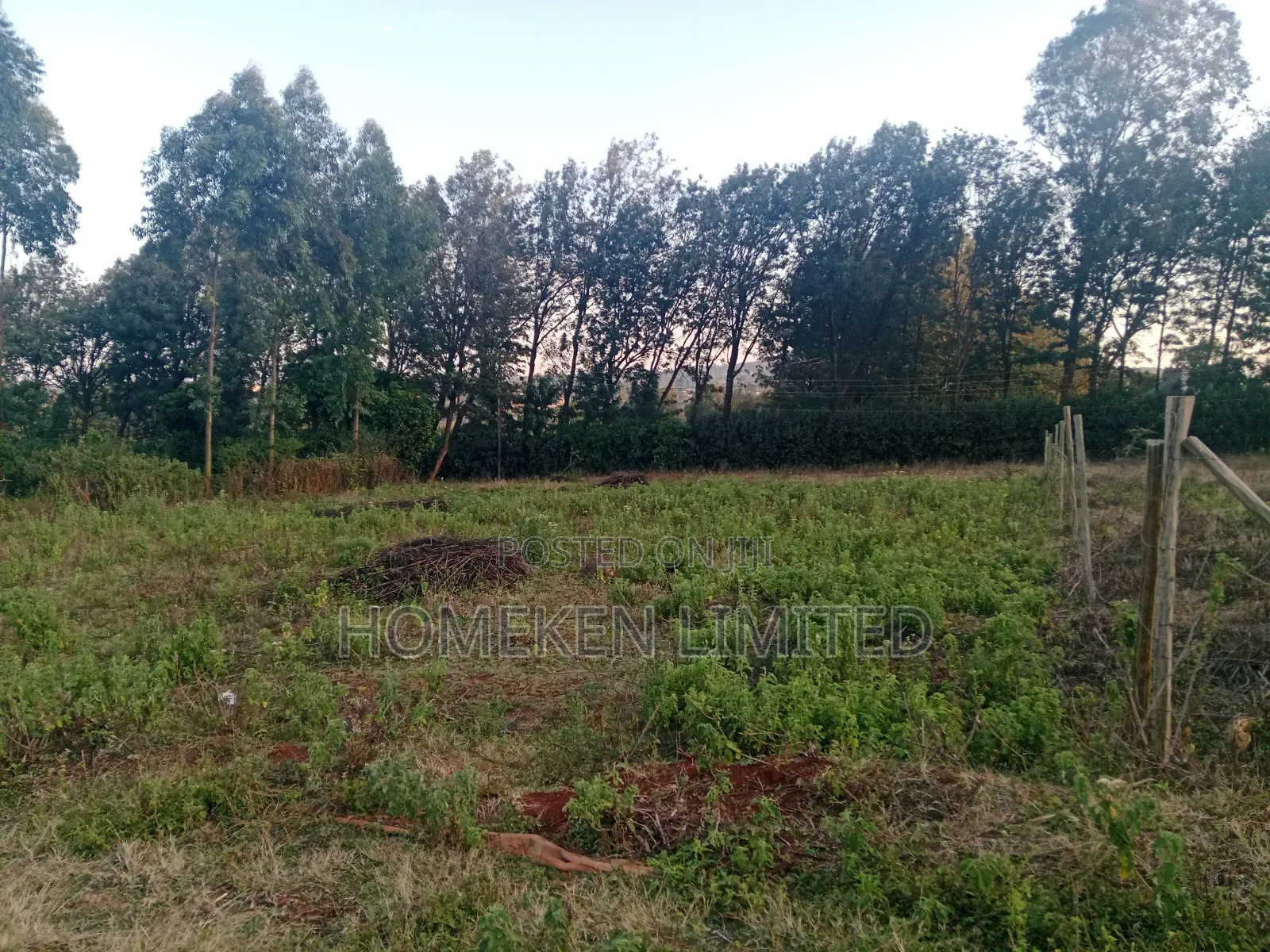 Quarter Acre for Sale in Kibiku, Ngong in Ngong