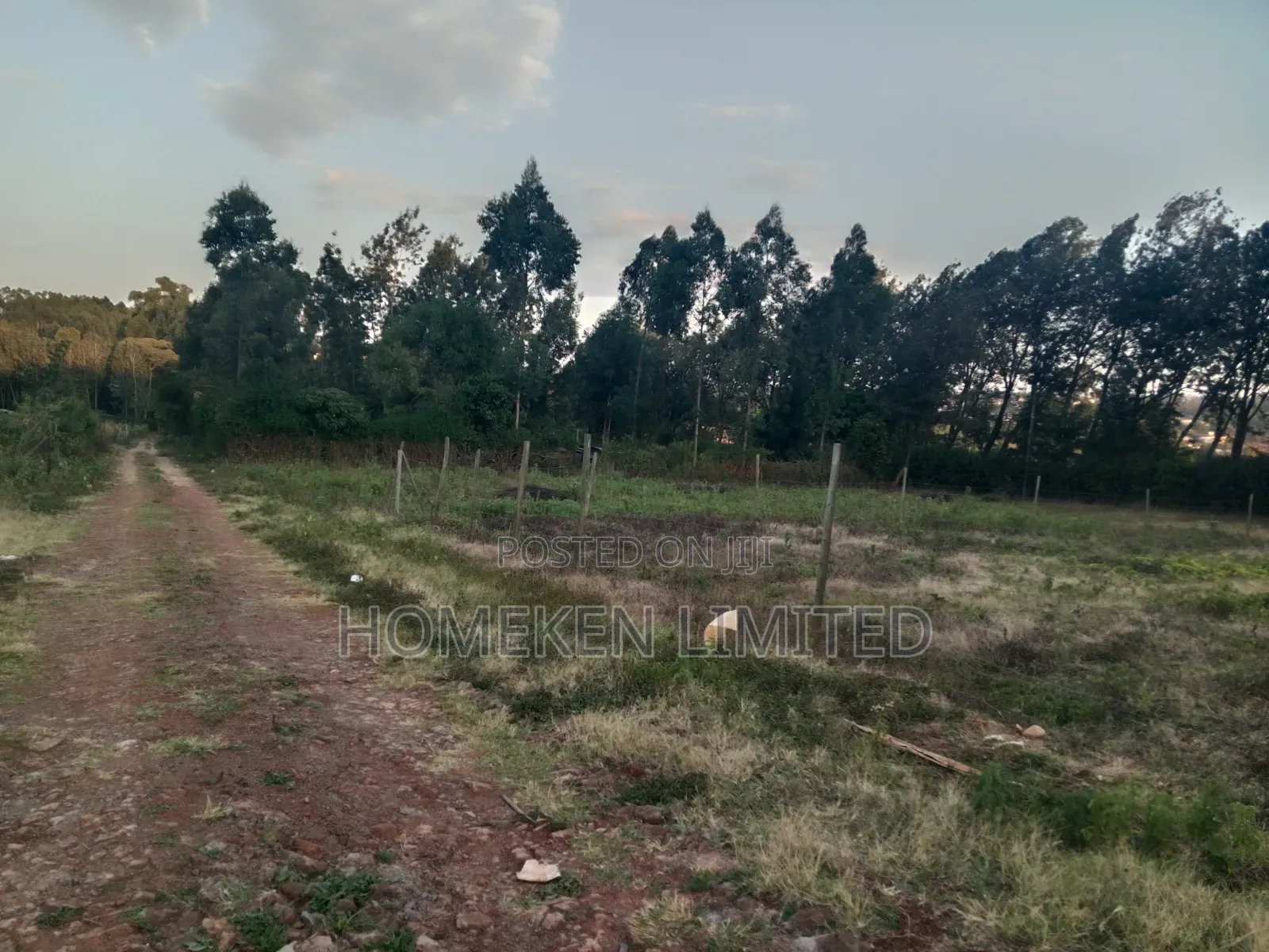 Quarter Acre for Sale in Kibiku, Ngong in Ngong