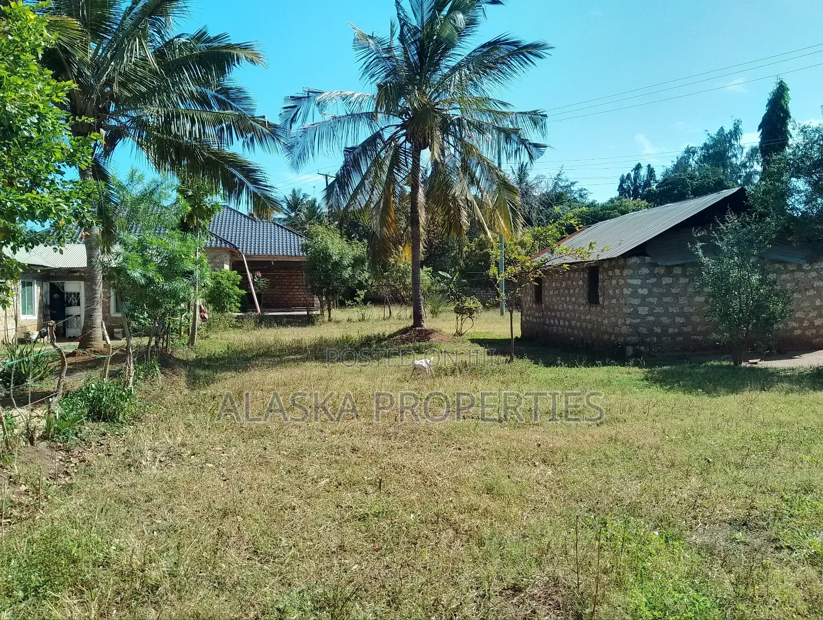 60by100 Prime Plot for Sale in Utange Zimilati in Shanzu