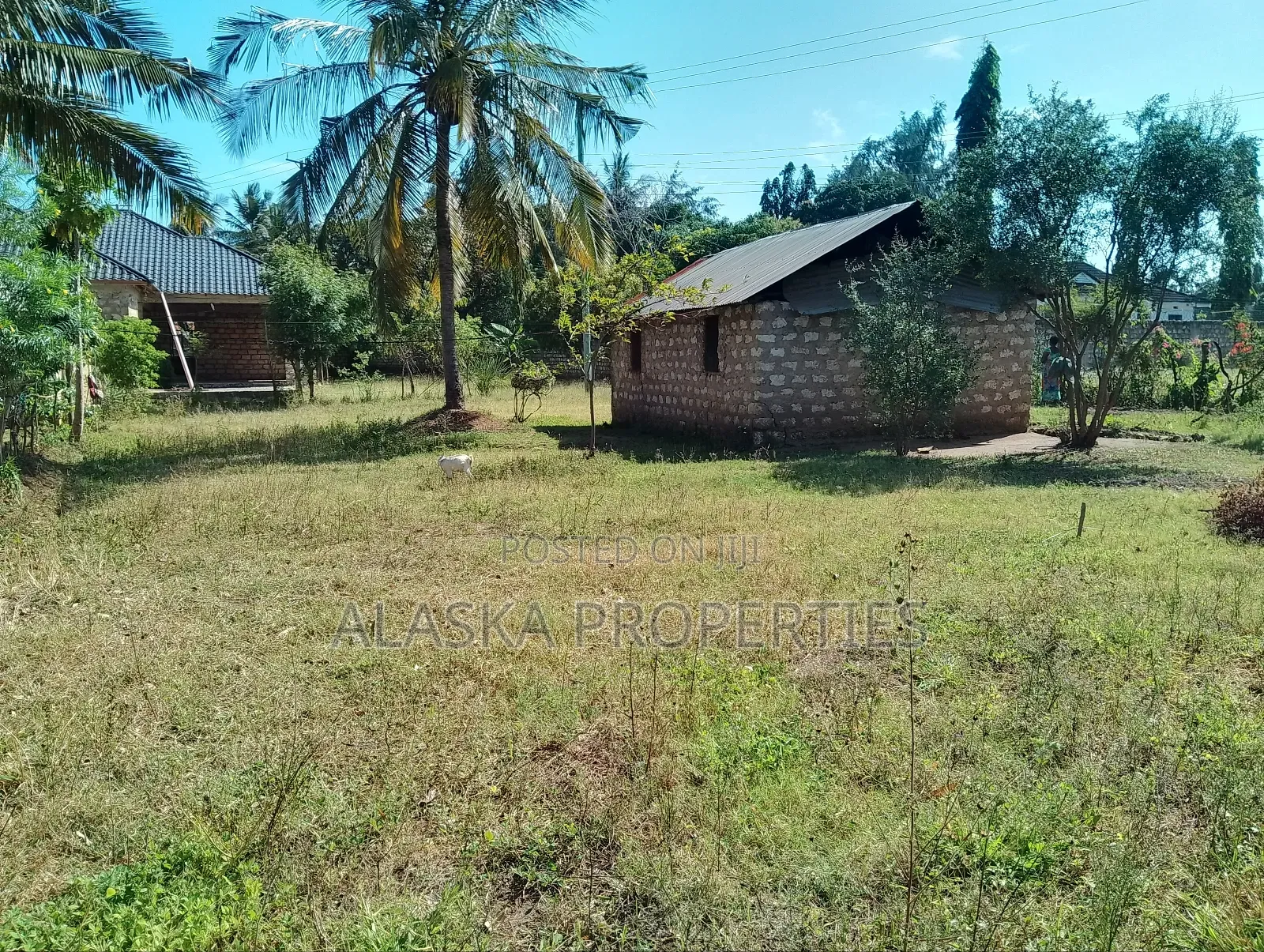60by100 Prime Plot for Sale in Utange Zimilati in Shanzu