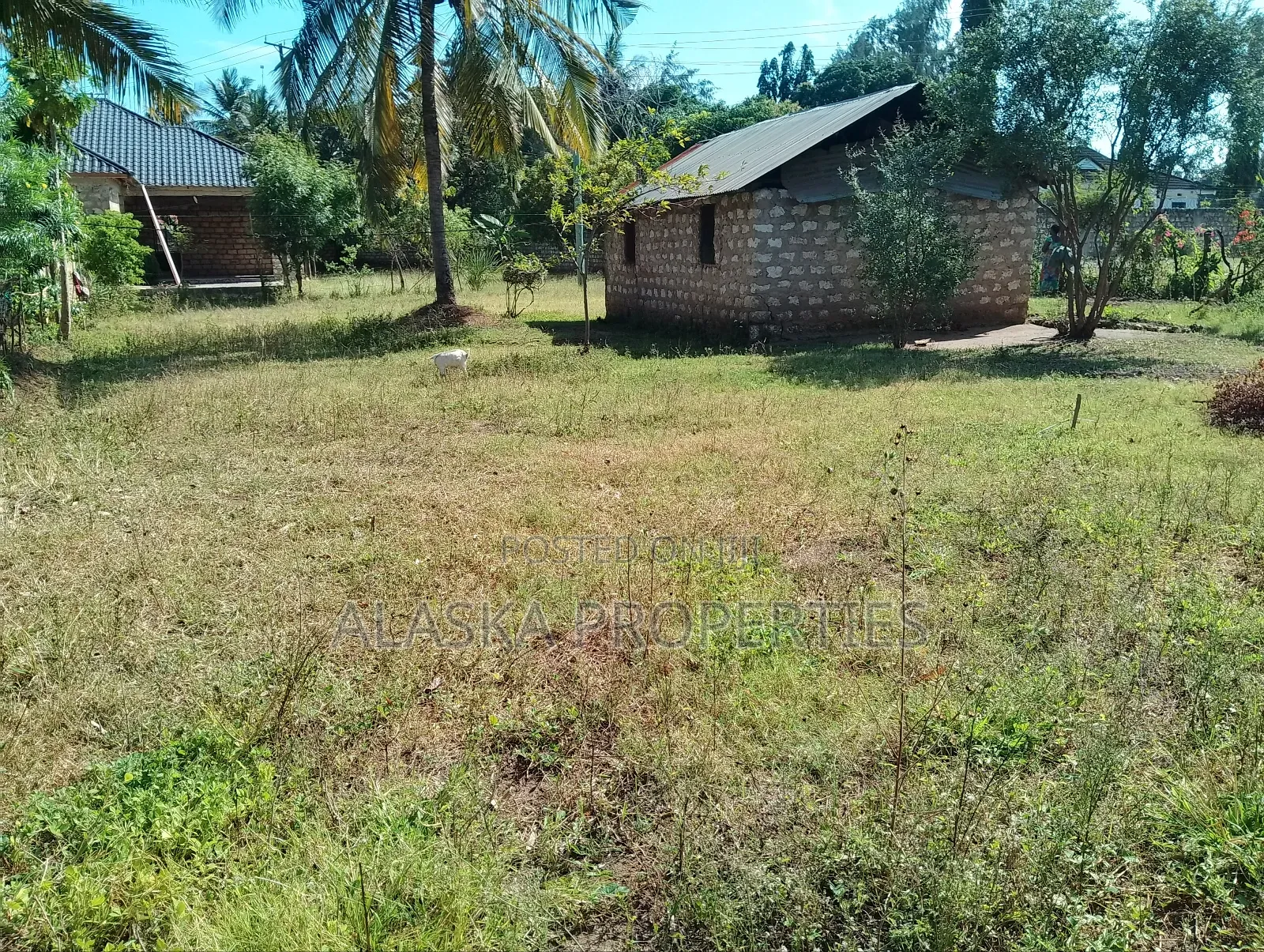 60by100 Prime Plot for Sale in Utange Zimilati in Shanzu