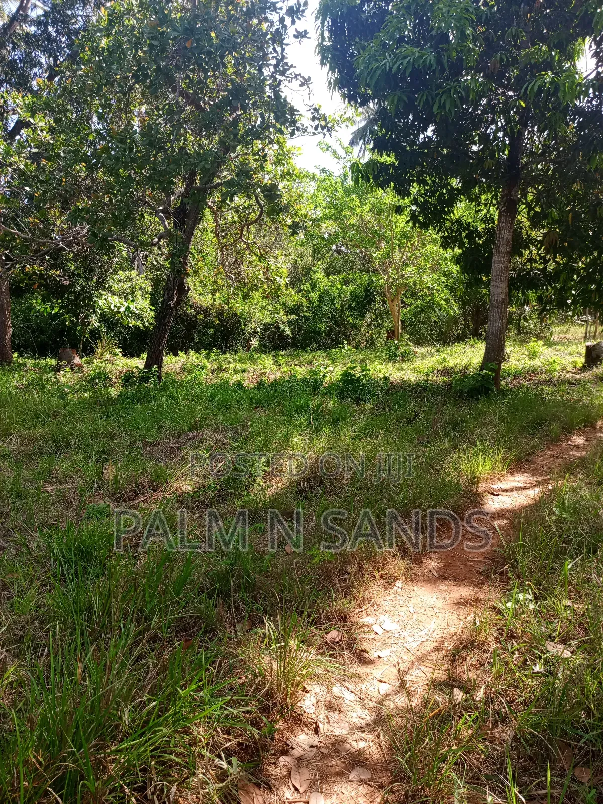 3/4 Acre on Sale in Galu Diani in Diani