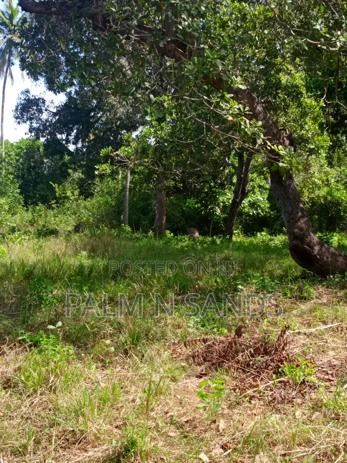 3/4 Acre on Sale in Galu Diani in Diani