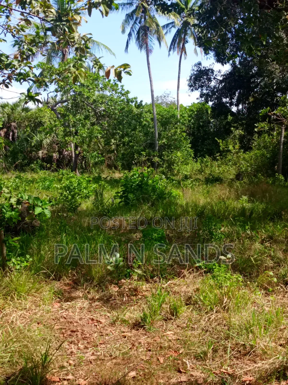 3/4 Acre on Sale in Galu Diani in Diani