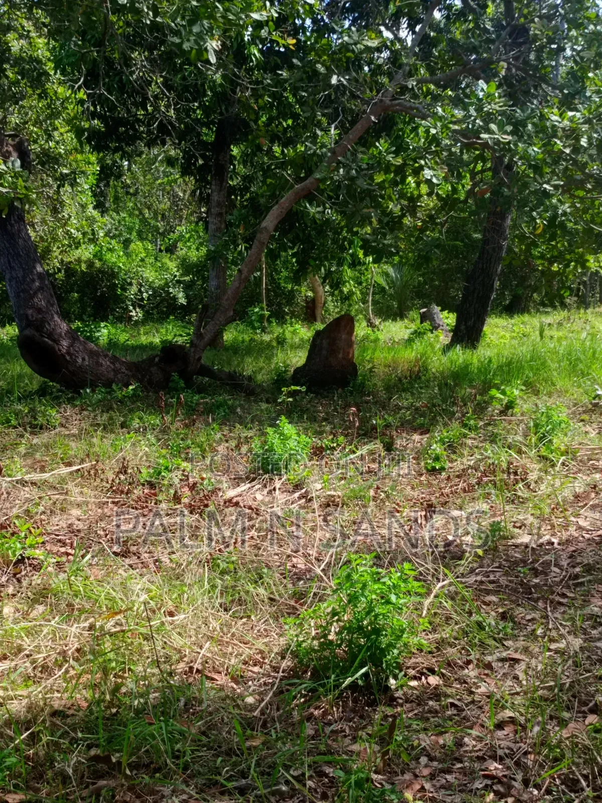 3/4 Acre on Sale in Galu Diani in Diani
