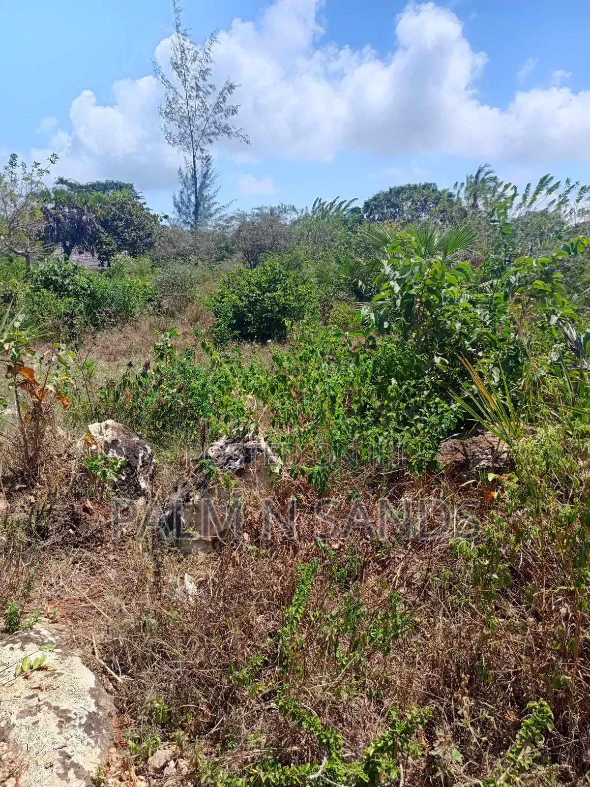 1 Acre in Galu Diani on Sale in Diani