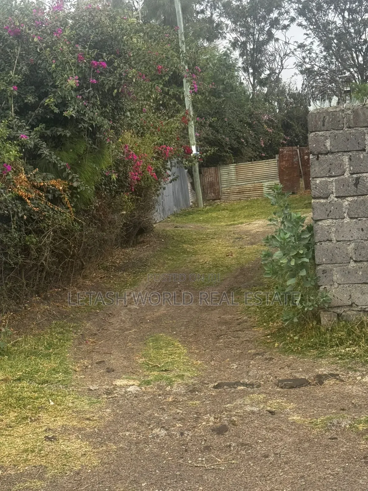 50 by 100 Fr Plot 500 Meters Off Namnga Highway, Behind Quiver in Kitengela