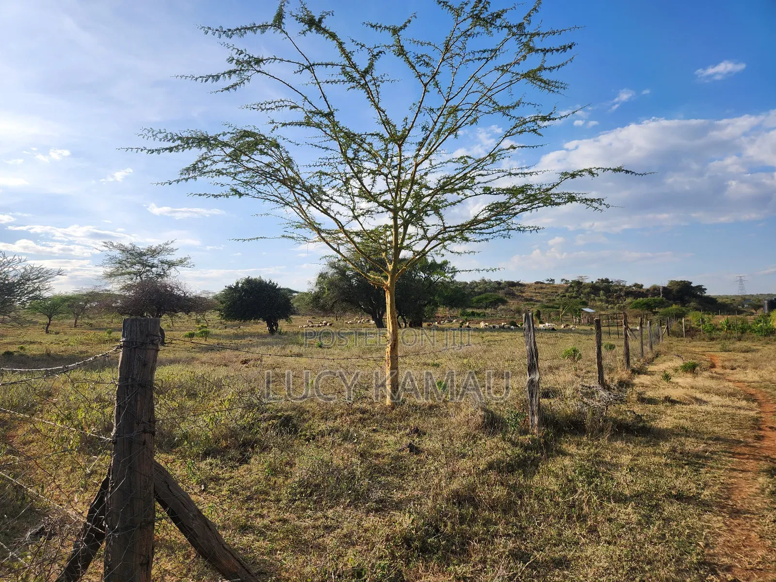 3.5 Acres in Kimuka Buy Whole or Subdivided Into 1 or 1⁄2 Acre Plots in Ngong