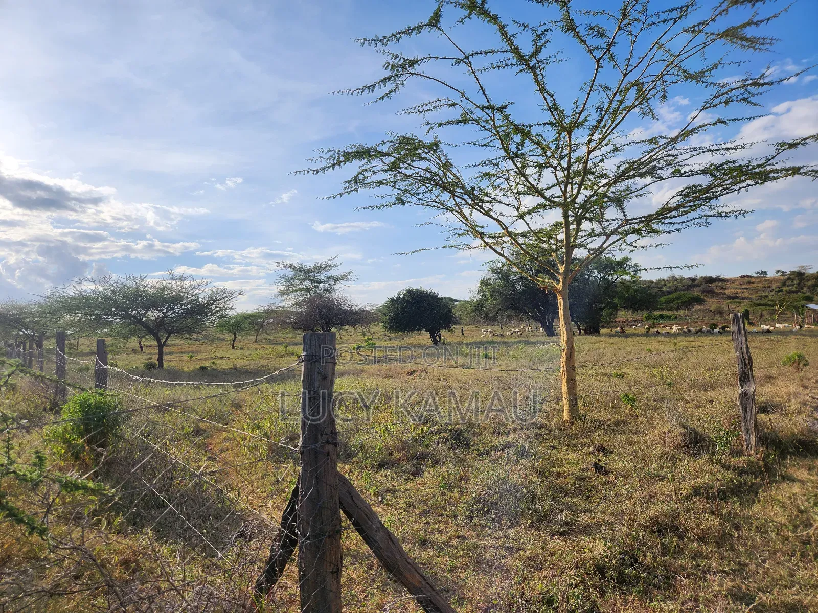 3.5 Acres in Kimuka Buy Whole or Subdivided Into 1 or 1⁄2 Acre Plots in Ngong