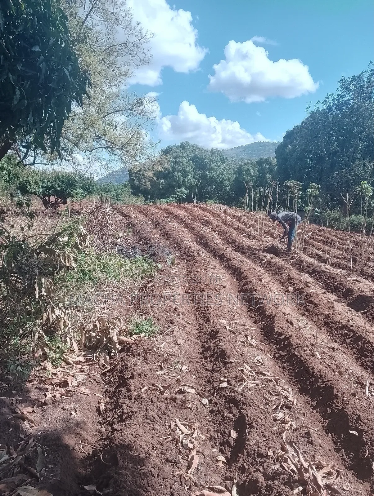 Land for Sale 1 Acre Located Less Than 1km -Machakos CBD in Machakos Town