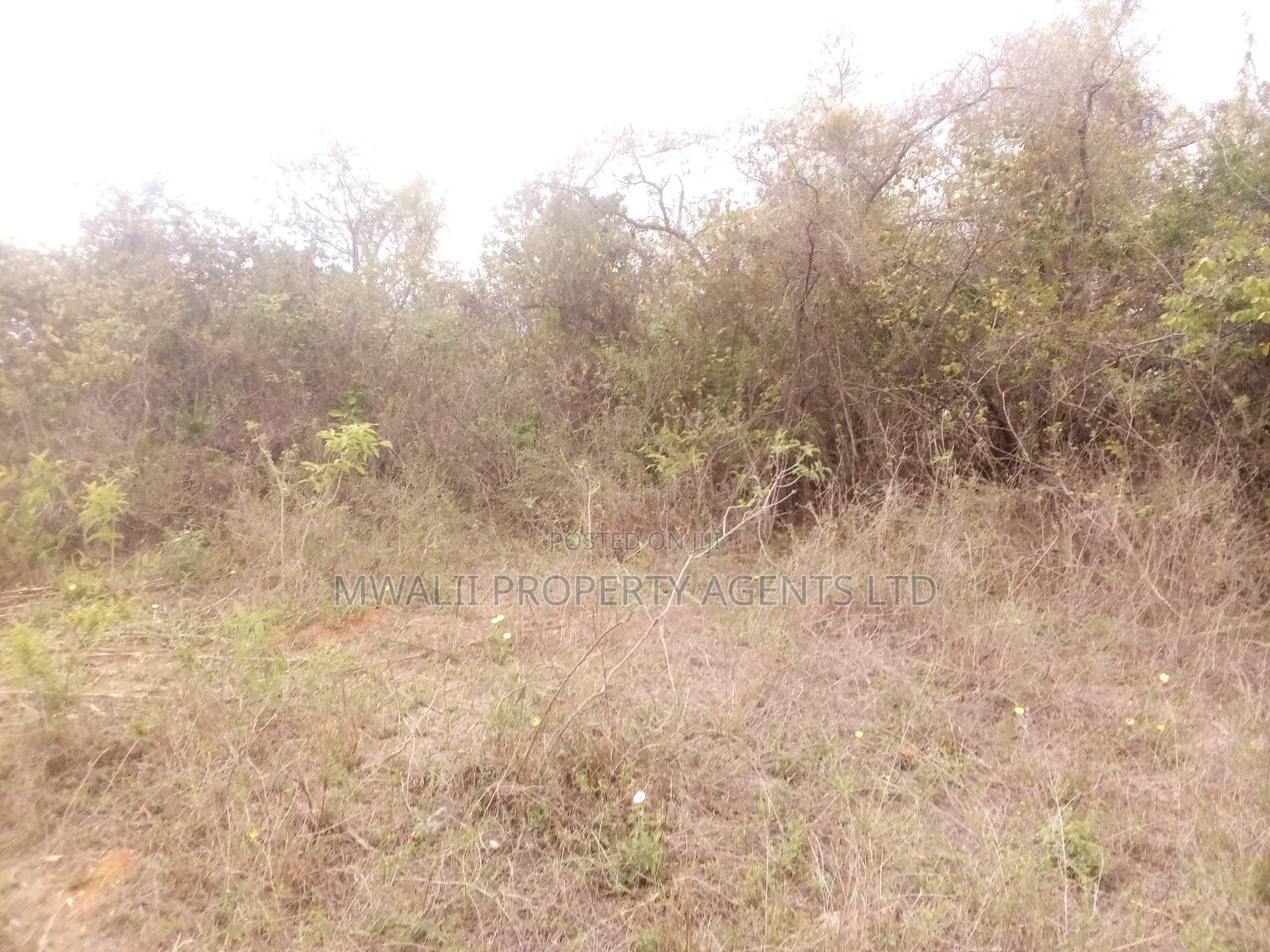 Tungutu 50 by 100 Ft Plots for Sale in Township