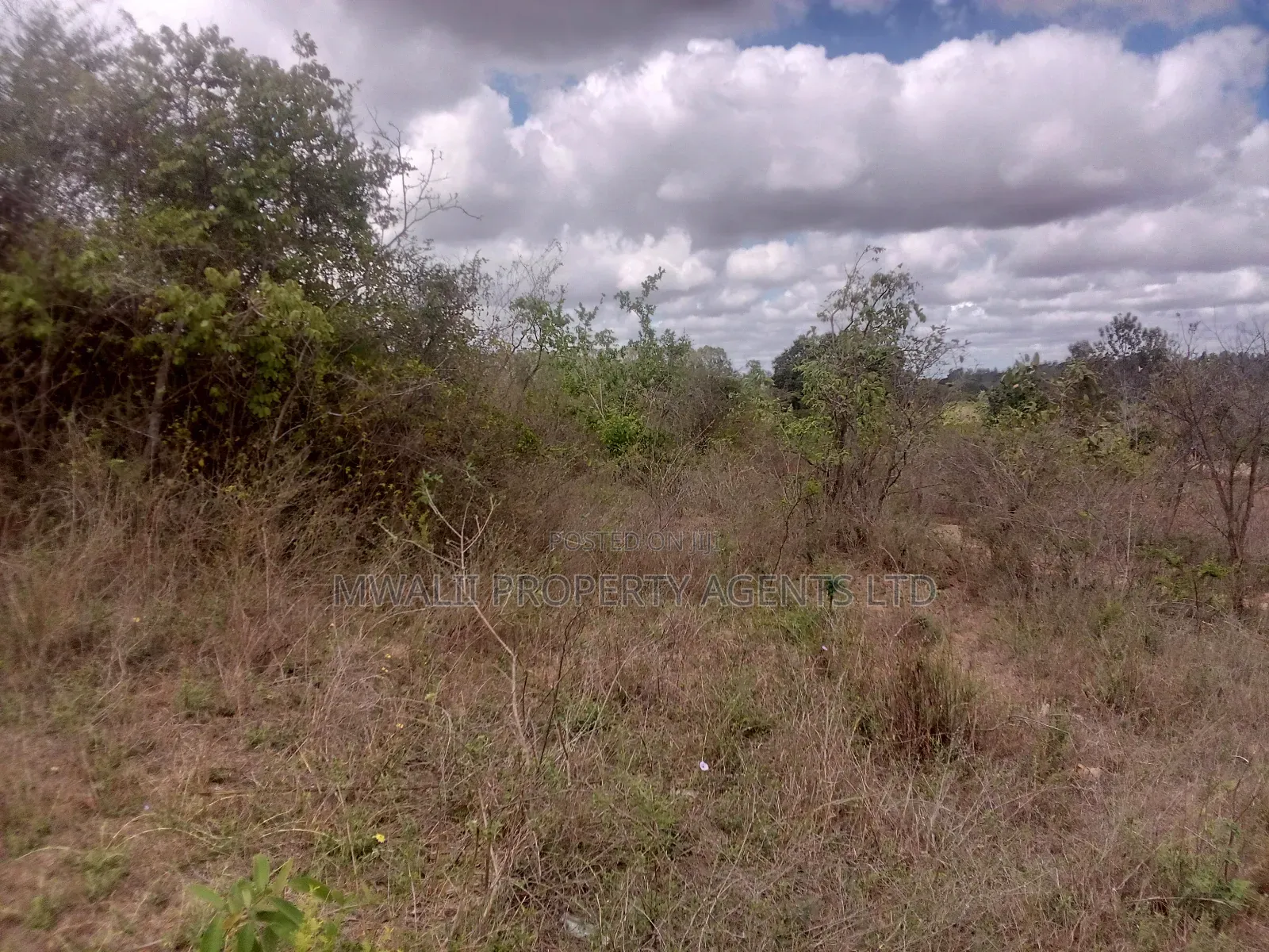 Tungutu 50 by 100 Ft Plots for Sale in Township