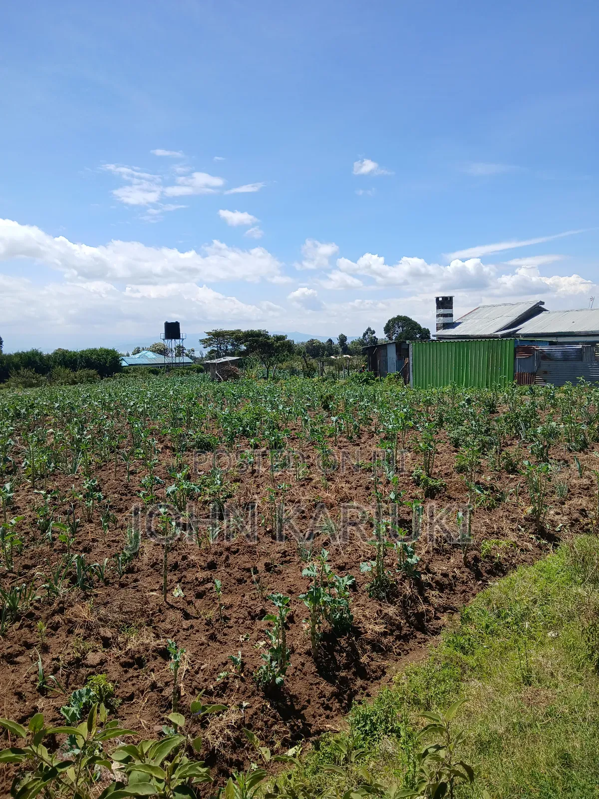 50x100 Plots in Naivasha Nyamathi 700metres From Highway in Naivasha East