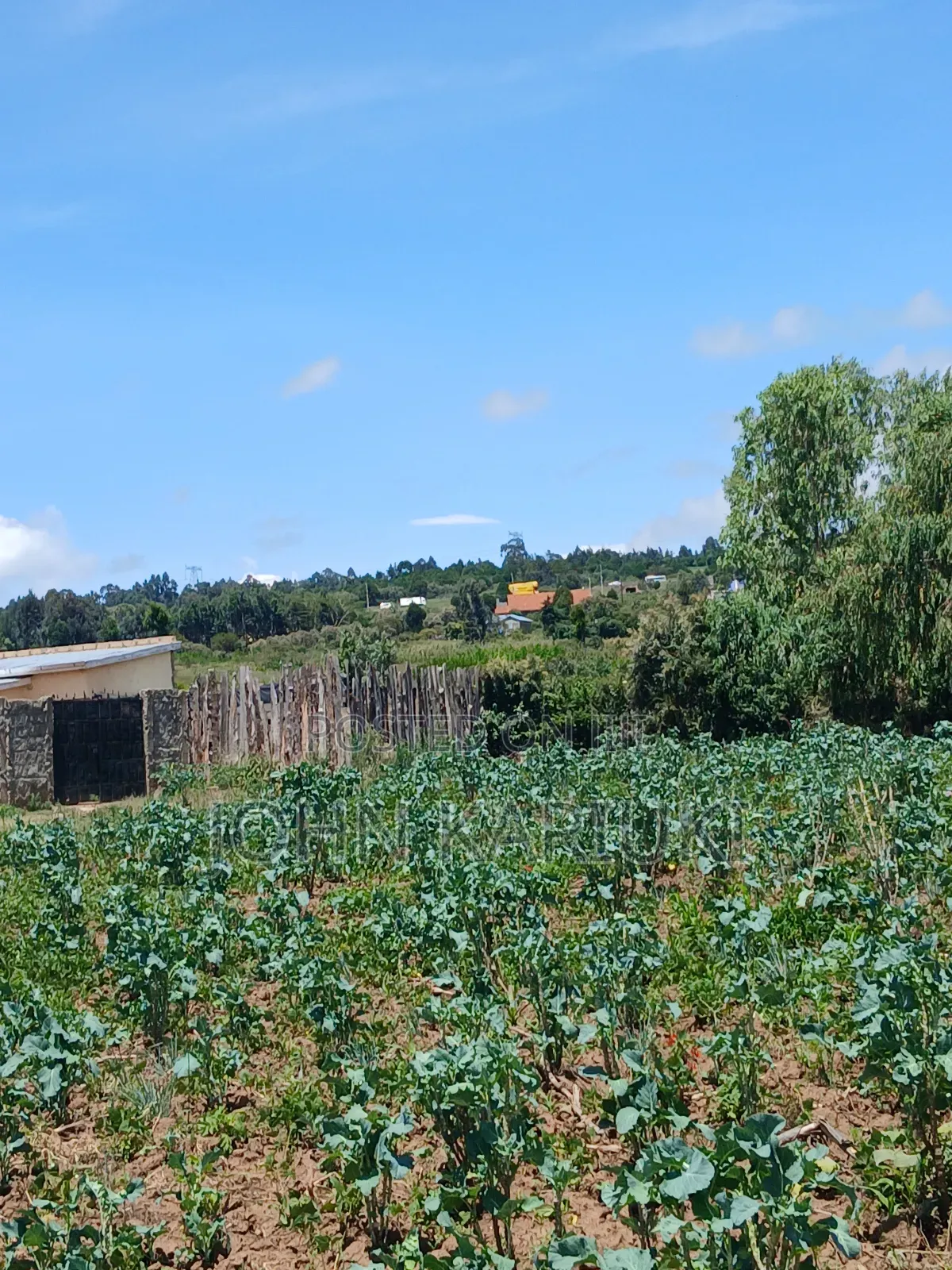 50x100 Plots in Naivasha Nyamathi 700metres From Highway in Naivasha East