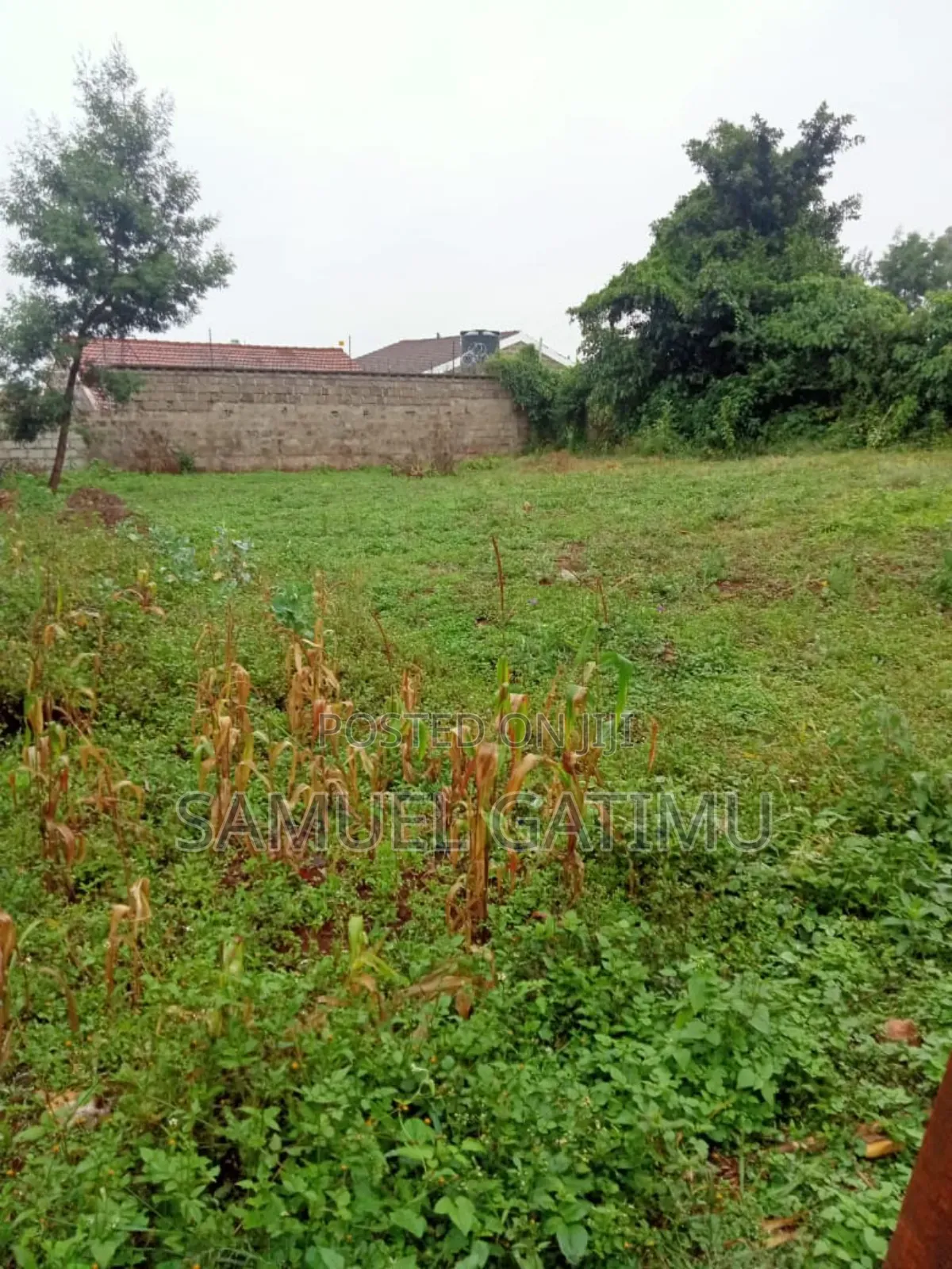Plot for Sale in Muchatha